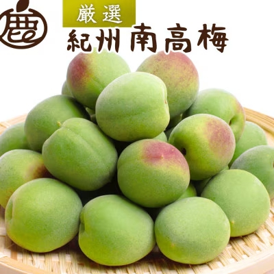青梅 厳選 南高梅 1kg+250g(痛み補償分) / 梅 梅ジュース 梅酒 梅干し 高級 和歌山 ※5月中旬〜6月下旬頃に発送予定 ※北海道・沖縄・離島への配送不可 [ikd508-p-1G]