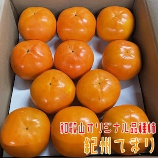 紀州てまり L～4Lサイズ 約7.5kg 【和歌山オリジナル品種柿】 / かき 柿 カキ フルーツ 果物 くだもの ※2026年11月上旬～下旬頃発送予定 ※沖縄・その他離島への配送不可【ard504-r-tema-7d5A】