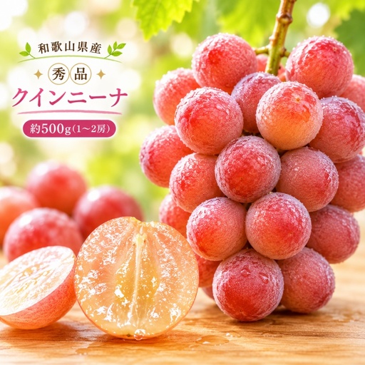 クインニーナ 約500g (1房〜2房) 秀品 / ぶどう ギフト 贈答 旬 フルーツ 果物 和歌山 紀美野町産 ※2026年9月下旬〜10月上旬に順次発送[frt502-r-0d5]