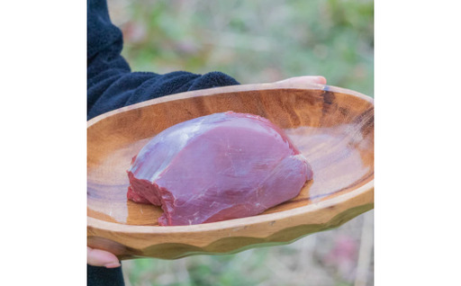 天然ジビエ肉(冷凍)ブロック肉 1kg(シカ肉)[クール便]/ジャーキー シカ ペット フード 肉鹿 おやつ 犬用 ドッグフード 生肉[wmk946-gibi-block]