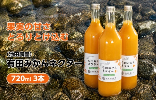 みかん ネクター 100% ジュース / 温州みかん 有田みかん 果汁 無添加 柑橘 和歌山 11000円 720ml ※北海道・沖縄・離島への配送不可 //drink[ikd100-to720-3]