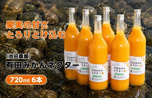 みかん ネクター 100% ジュース / 温州みかん 有田みかん 果汁 無添加 柑橘 和歌山 20000円 720ml ※北海道・沖縄・離島への配送不可 //drink[ikd100-to720-6]