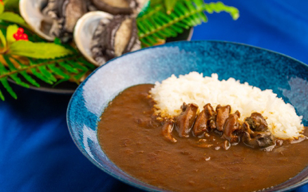 和歌山のアワビ屋さんがつくったあわびカレー [170g×3袋][日付指定OK][riz305]