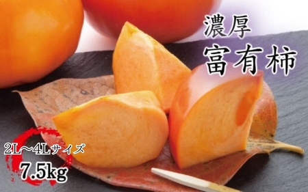 柿 カキ 果物 [秋の美味][和歌山ブランド]濃厚!富有柿 秀品 2L〜4Lサイズ(約7.5kg入り) ※2025年11月中旬頃〜12月上旬頃順次発送予定 / かき カキ 柿 フルーツ 果物 人気 旬[ard014C]