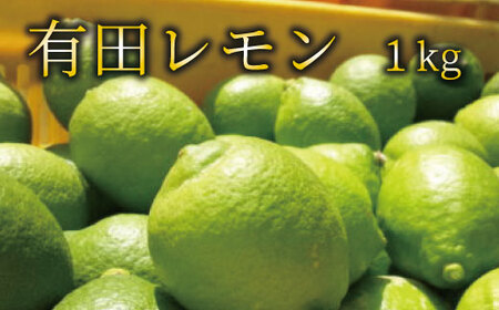 レモン 檸檬 柑橘 フルーツ 果物 [国産]紀州和歌山 有田レモン 約1kg※北海道・沖縄・離島配送不可[ard030A]