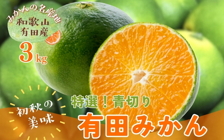 [先行予約][2025年9月中旬〜10月中旬頃発送]特撰 青切り有田みかん 3kg ※北海道・沖縄・離島配送不可 / 和歌山 ミカン オレンジ 柑橘 フルーツ 果物 くだもの 旬[ard043B]