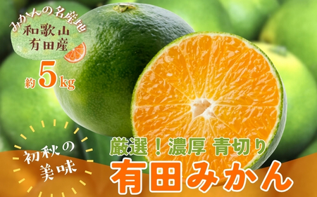 [先行予約][2025年9月中旬〜10月中旬頃発送][初秋の美味][農家直送]特撰 青切り有田みかん 5kg ※北海道・沖縄・離島配送不可/ 和歌山 ミカン オレンジ 柑橘 フルーツ 果物 くだもの 旬[ard044C]