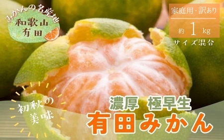 [初秋の美味]有田育ちのご家庭用訳ありゆら早生有田みかん 1kg[サイズ混合][2025年10月頃から順次発送予定]※北海道・沖縄・離島配送不可 / 和歌山 ミカン オレンジ 柑橘 フルーツ 果物 くだもの 旬[ard052C]
