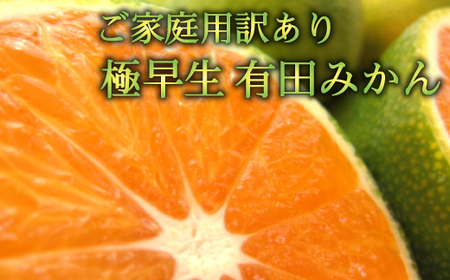 みかん 蜜柑 有田 フルーツ 果物 柑橘 [初秋の美味]有田育ちのご家庭用訳あり濃厚極早生有田みかん 約10kg[サイズ混合][10月〜発送]※北海道・沖縄・離島配送不可[ard053A]