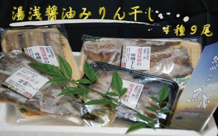 干物 ひもの あじ さんま さば アジ 秋刀魚 サバ 鯖 / 和歌山の近海でとれた新鮮魚の湯浅醤油みりん干し4品種9尾入りの詰め合わせ[tec200A]