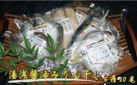 干物 ひもの さば アジ 秋刀魚 さんま 鯖 / 湯浅醤油みりん干し6品種10尾入りの詰め合わせ[tec201]