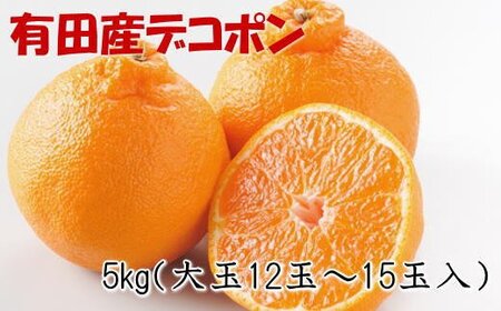 デコポン 不知火 フルーツ 果物 / [お味濃厚]紀州有田産の大玉デコポン約5kg(12玉〜15玉入り・青秀以上) ※2025年1月中旬頃〜3月中旬頃順次発送[tec811A]