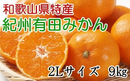 果物 くだもの フルーツ みかん / [秀品]和歌山有田みかん 9kg(2Lサイズ) ※2024年11月中旬〜2025年1月中旬頃より順次発送[tec831]