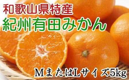 果物 くだもの フルーツ 蜜柑 みかん / [秀品]和歌山有田みかん 5kg(MサイズまたはLサイズのいずれか) ※2024年11月中旬〜2025年1月中旬頃より順次発送[tec834]