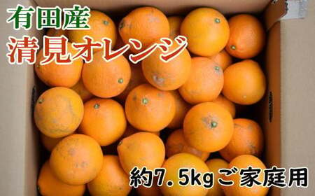 果物 くだもの フルーツ 蜜柑 みかん / [産直]有田産清見オレンジ 約7.5kg(訳あり家庭用サイズおまかせまたは混合)※2025年2月上旬〜2025年3月下旬頃(日付指定不可) [tec867A]