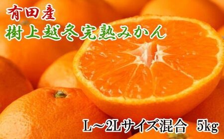 果物 くだもの フルーツ 蜜柑 みかん / [濃厚・まろやか]有田産樹上越冬完熟みかん5kg(L〜2Lサイズ混合・秀品) [tec874A]