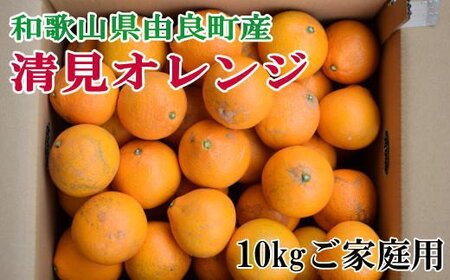 [訳あり・ご家庭用]和歌山由良町産の濃厚清見オレンジ約10kg ※2026年2月中旬〜2026年2月下旬頃に発送予定(お届け日指定不可)/ 果物 くだもの フルーツ みかん [tec877A]