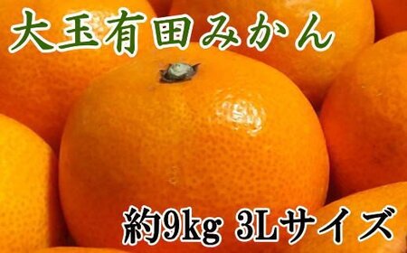 果物 くだもの フルーツ 蜜柑 みかん / [食べごたえ十分]有田みかん大玉約9kg(3Lサイズ・秀品) ※2024年11月中旬〜2025年1月中旬頃より順次発送[tec879f]