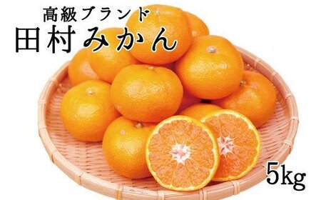 果物 フルーツ くだもの みかん / 高級ブランド田村みかん 5kg ※2024年11月下旬頃〜2025年1月下旬頃に順次発送予定(お届け日指定不可)[uot504]