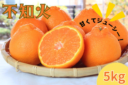 紀州有田産不知火(しらぬひ) 約5kg※2025年2月中旬頃〜2025年3月上旬頃に順次発送予定(お届け日指定不可)みかん 蜜柑 フルーツ 果物 くだもの /[uot709]