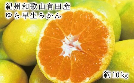 みかん 蜜柑 フルーツ 果物 くだもの / 紀州和歌山有田産ゆら早生みかん10kg ※2024年10月中旬頃〜2024年10月下旬頃順次発送予定(お届け日指定不可) [uot734]