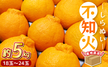 [先行予約] ＼ みかんの名産地 和歌山県産/ 農家直送 不知火 約5kg(18〜24玉) ひとつひとつ手選別で厳選[2025年2月中旬頃発送予定][hdm002]