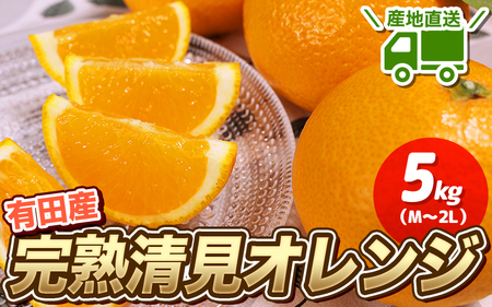 [先行予約] ＼ みかんの名産地 和歌山県産/ 農家直送 完熟清見オレンジ 5kg (M〜2Lサイズおまかせ) ひとつひとつ手選別で厳選[2025年3月中旬頃発送予定][hdm003A]