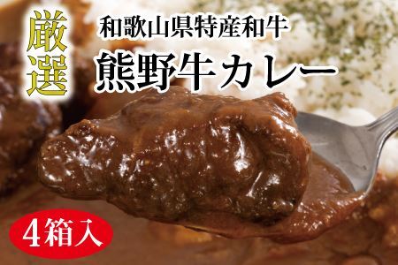 特選黒毛和牛 熊野牛カレー 4箱 [mtf102]