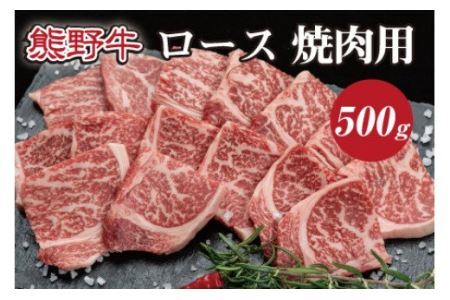 特選黒毛和牛 熊野牛 焼肉用ロース 約500g [mtf410A]