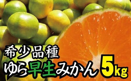 [2024年秋頃発送予約分][農家直送]甘くて濃厚!希少品種 ゆら早生みかん 約5kg+150g 有機質肥料100% ※2024年10月末で申込締切 サイズ混合/ミカン 蜜柑 柑橘 フルーツ くだもの 果物 早生 温州[nuk109B]