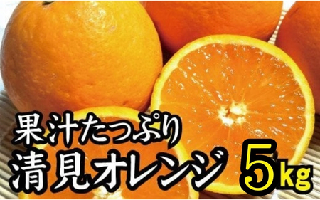 [農家直送]果汁たっぷり!清見オレンジ 約8kg 有機質肥料100% サイズ混合 ※2026年3月上旬より順次発送予定(お届け日指定不可)/ミカン 蜜柑 柑橘 清見 清見オレンジ フルーツ 果物 [nuk112B]