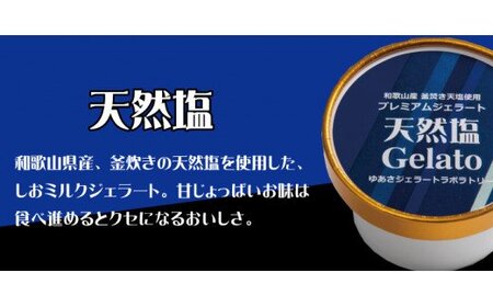 アイス アイスクリーム ジェラート スイーツ / プレミアムジェラート 天然塩12個セット アイスクリームセット 100mlカップ ゆあさジェラートラボラトリー[kmtb700-04]