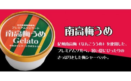 プレミアムジェラート 南アイス アイスクリーム ジェラート ソルベ スイーツ / 高梅うめソルベ12個セット アイスクリームセット 100mlカップ ゆあさジェラートラボラトリー[kmtb700-06]