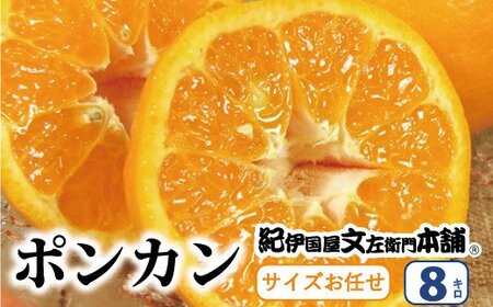 ぽんかん 蜜柑 みかん 柑橘 果物 フルーツ / ポンカン 約8kg サイズおまかせ ※2025年1月下旬〜2月下旬頃に(お届け日指定不可) 紀伊国屋文左衛門本舗 [kmtb450A]