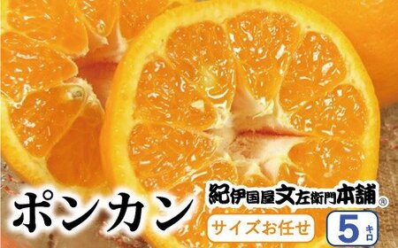 ぽんかん 蜜柑 みかん 柑橘 果物 フルーツ / ポンカン 約5kg/サイズおまかせ ※2025年1月下旬〜2月下旬頃に順次発送予定(お届け日指定不可) 紀伊国屋文左衛門本舗 [kmtb451A]