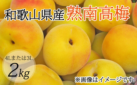 [梅干・梅酒用](4Lまたは3L-2Kg)熟南高梅[2025年6月上旬〜7月上旬ごろに順次発送予定]フルーツ 果物 くだもの 食品 人気 おすすめ 送料無料 [art006A]