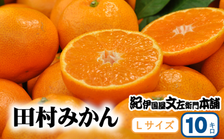 田村みかん みかん 蜜柑 柑橘 果物 フルーツ / 田村 特選ギフト品 10kg[Lサイズ]赤秀/紀州和歌山有田郡湯浅町田村地区産 ◆2024年11月下旬〜2025年1月中旬頃に発送(お届け日指定不可) 紀伊国屋文左衛門本舗[kmtb302]