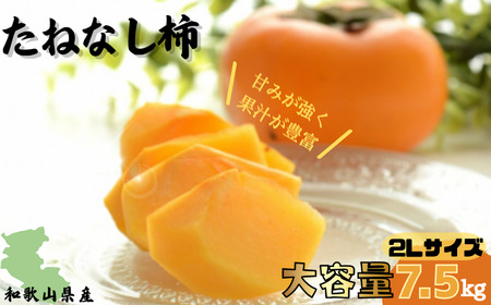 [先行予約][JAわかやま]2Lサイズ たねなし柿 約7.5kg [2025年9月下旬〜10月下旬に順次発送致します。] 種なし 種無し タネなし 柿 かき カキ フルーツ 果物 人気 旬[jan002]