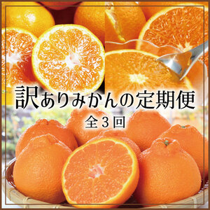 みかん 柑橘 果物 フルーツ 定期便 温州 ミカン 不知火 でこぽん オレンジ /[3か月定期便]たっぷり届く♪訳ありみかんの定期便[tkb113]