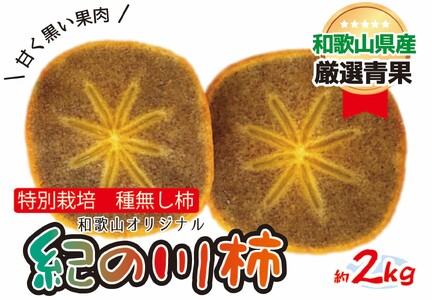 柿 特別栽培 紀の川柿 約2kg [2025年10月中旬より順次発送][A245-frks138]