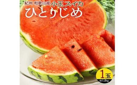 IBa̎RY ʃXCJuЂƂ肶߁v 1ʁy2026N6{`7{ɏzyUT85zyZ91087-uot778z