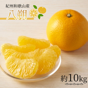 i͂j10kg@IBa̎R 炬Yy2026N2{`2026N2{ɏzyUT19zyZ91112-uot785z