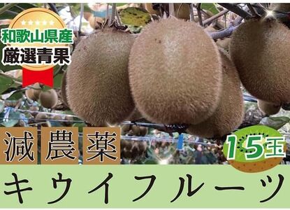 キウイフルーツ 秀品 ヘイワード 15玉[2025年11月下旬〜2026年3月上旬発送][A250-frks143A]