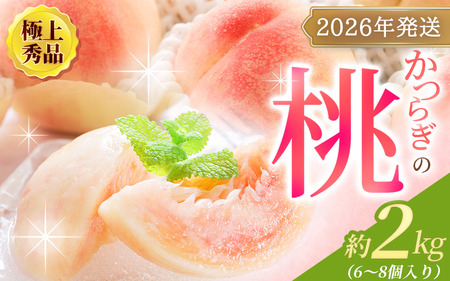 桃 もも 極上秀品 約2kg 6～8個入 こだわり農家厳選【先行予約】【2026年6月下旬頃から7月下旬頃順次発送】 / 桃 もも モモ フルーツ 果物 くだもの 人気 産地直送 和歌山の桃 【BK002-kgr001A】