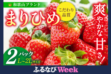 [ふるなびWEEK対象]まりひめイチゴ L〜2L 12粒〜15粒×2パック[2026年1月中旬〜3月中旬頃に順次発送][先行販売][KG7]FN-Limited[BK007-kgr007A-week]