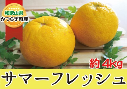 [訳あり・ご家庭用]爽やか 〇 サマーフレッシュ 〇 約4kg [2026年5月初旬頃から5月下旬ごろ発送予定] 柑橘 フルーツ 果物[A254-frks147]