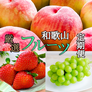 【全3回】和歌山厳選フルーツ定期便（ いちご 桃 シャインマスカット ）【MG16】【S96106-mtgn084】