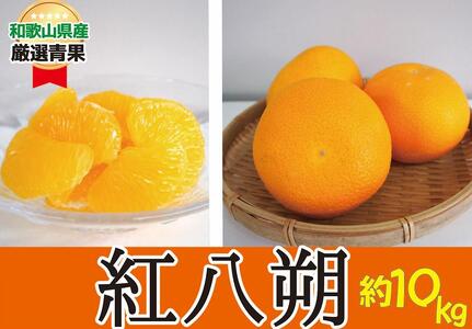 炬̍g 10kg   Â݂Ƌ݂̃oX▭y2026N2{`2026N2{zyA258-frks151Az