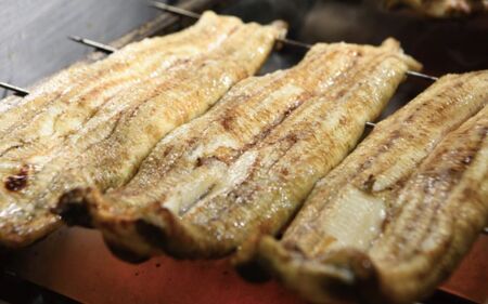 IYȂYΔ1 ERtyzyBM05-tgun005z