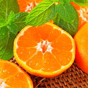 【訳あり・ご家庭用】完熟有田みかん  サイズ混合(2S～2L)　約5.2kg(5kg+200g)【2026年9月中旬～10月上旬頃に順次発送予定】【AA90135-ard186E-09】